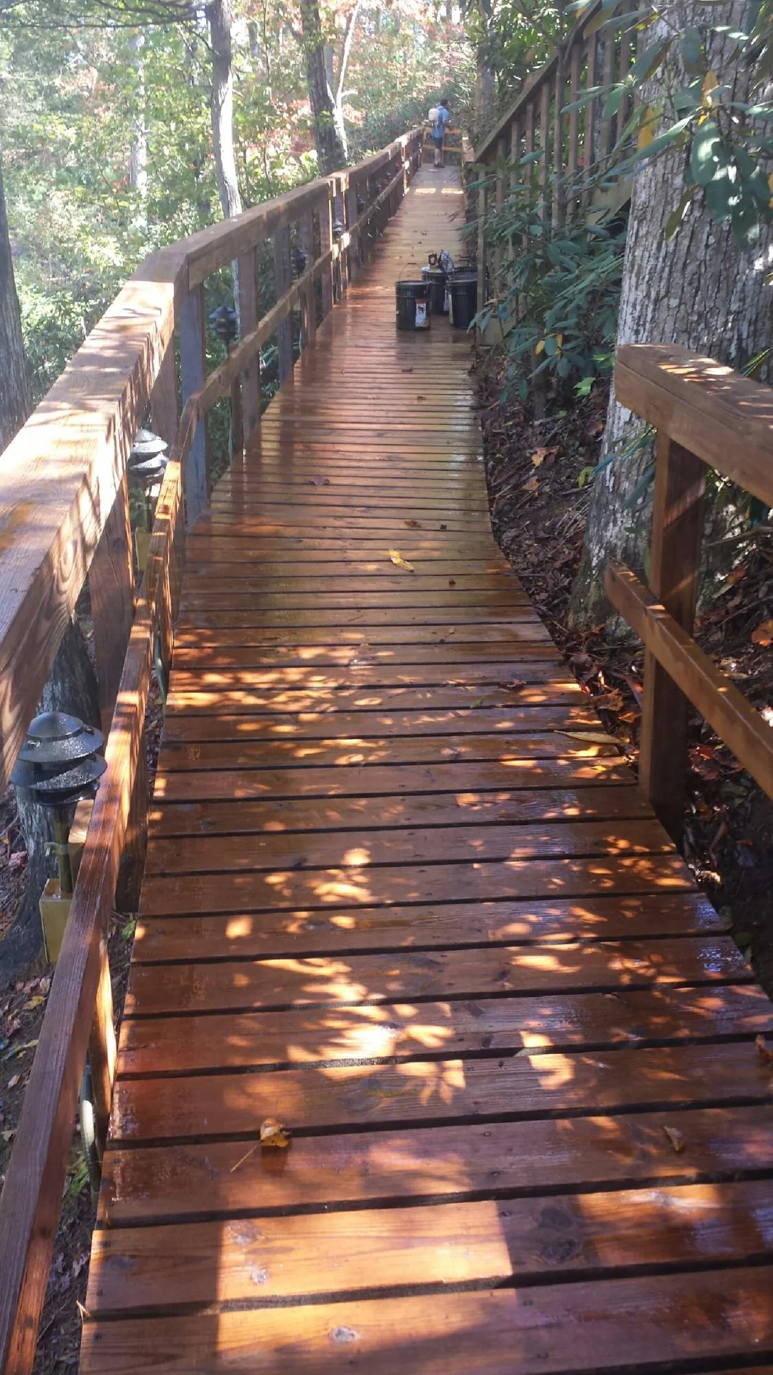 Freshly stained wood walkway winding through the woods in Ogdensburg